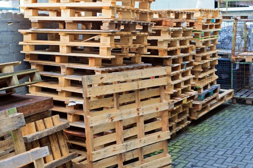 Investigator reviewing records and photographs